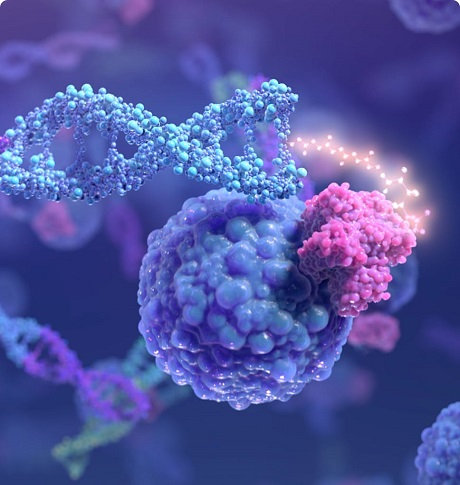 Microscopic biological image